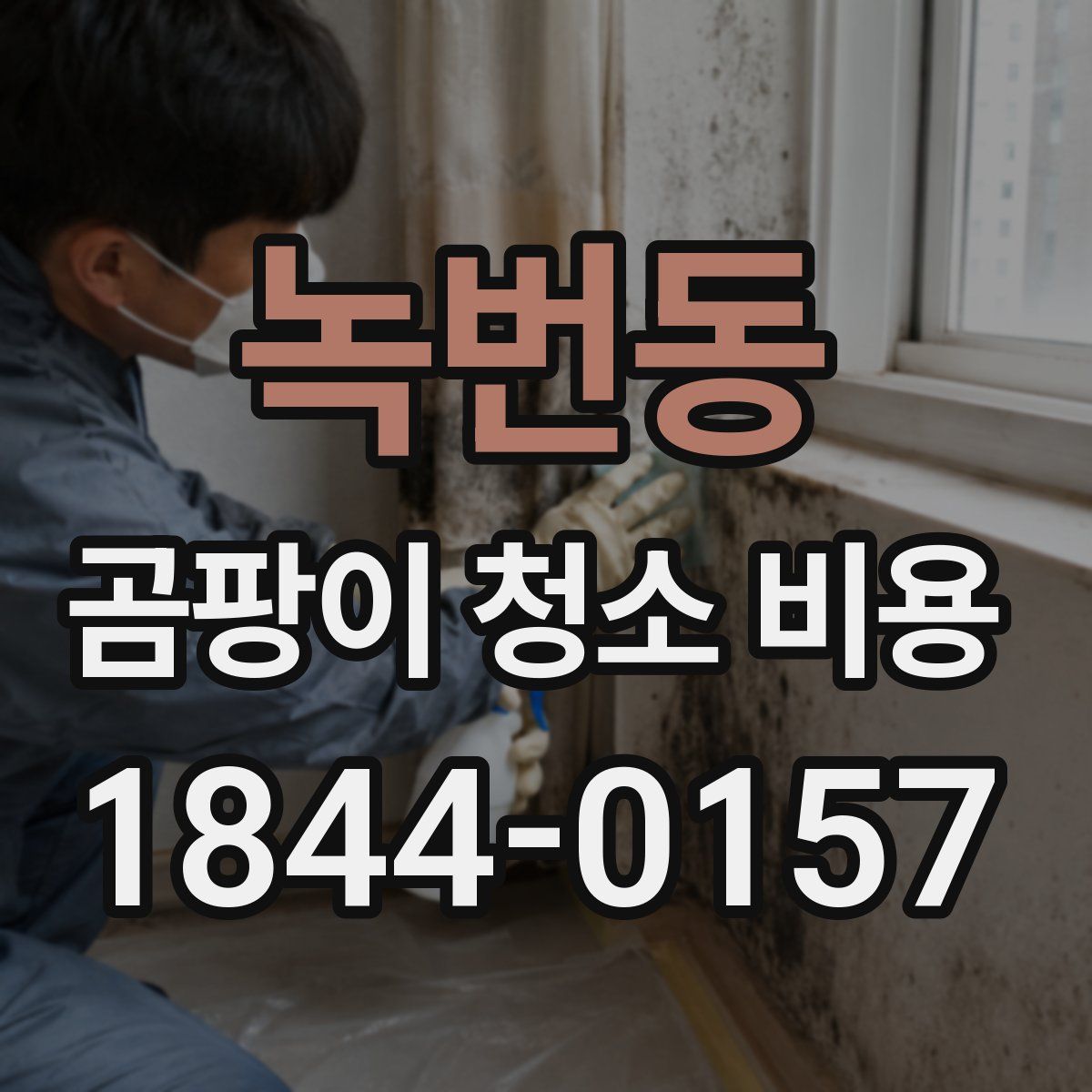 녹번동 곰팡이 청소 비용