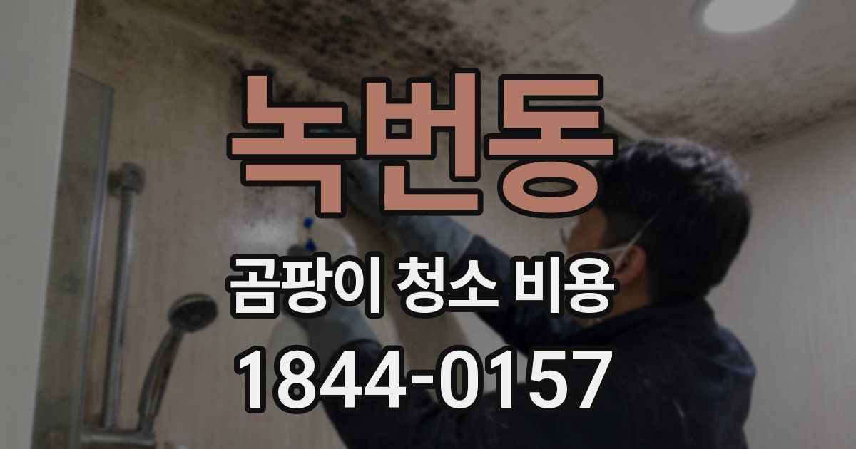 녹번동 곰팡이 청소 비용