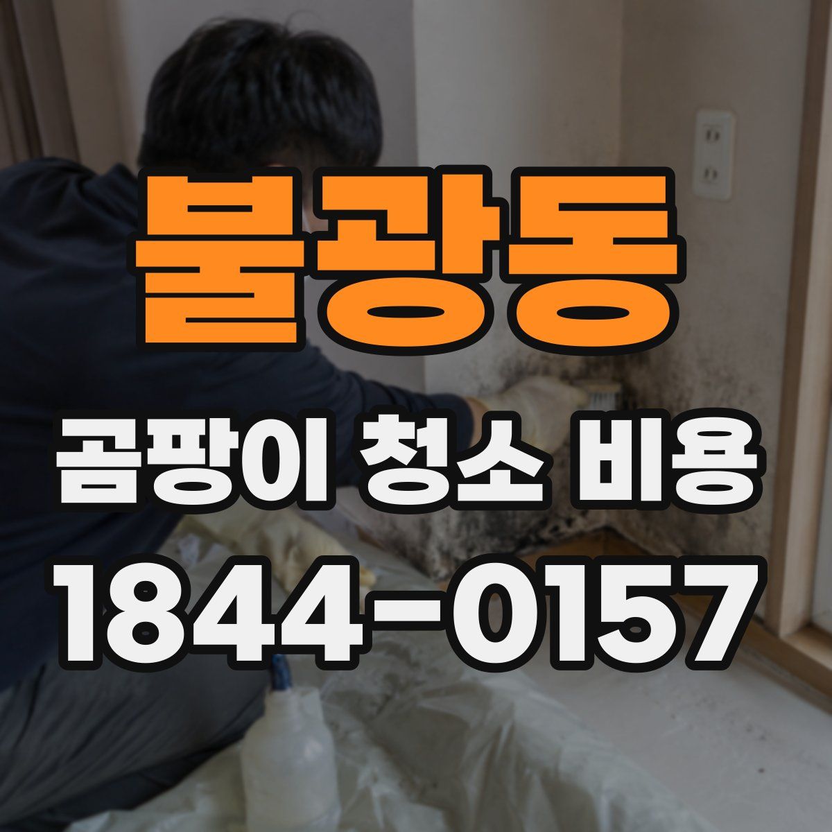 불광동 곰팡이 청소 비용