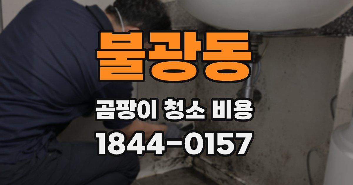 불광동 곰팡이 청소 비용