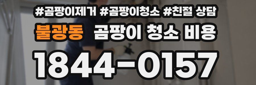 불광동 곰팡이 청소 비용