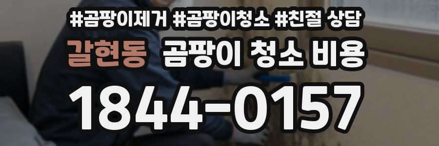 갈현동 곰팡이 청소 비용