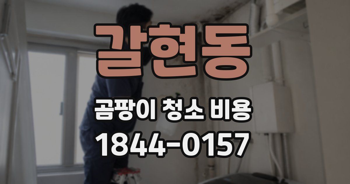 갈현동 곰팡이 청소 비용