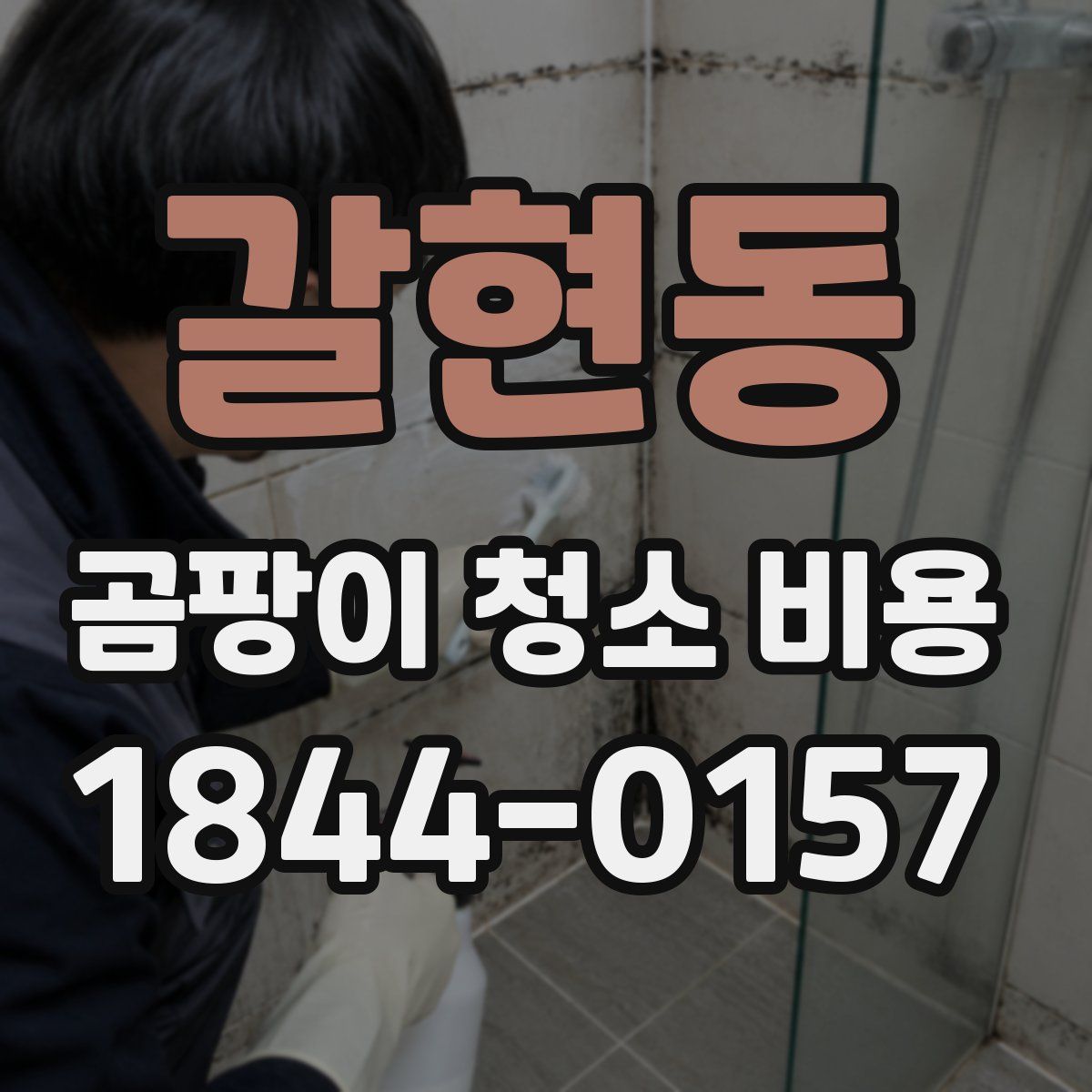 갈현동 곰팡이 청소 비용