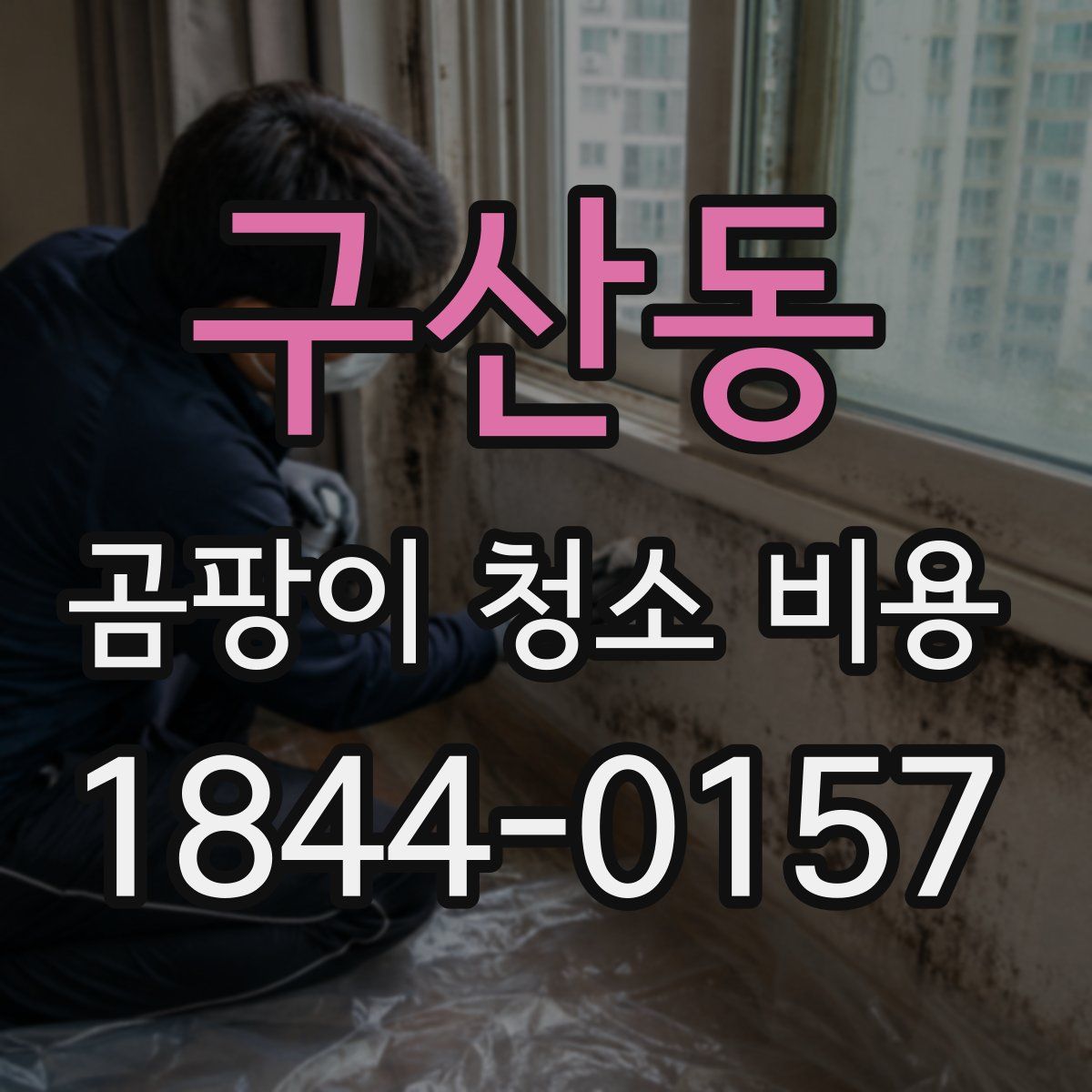 구산동 곰팡이 청소 비용