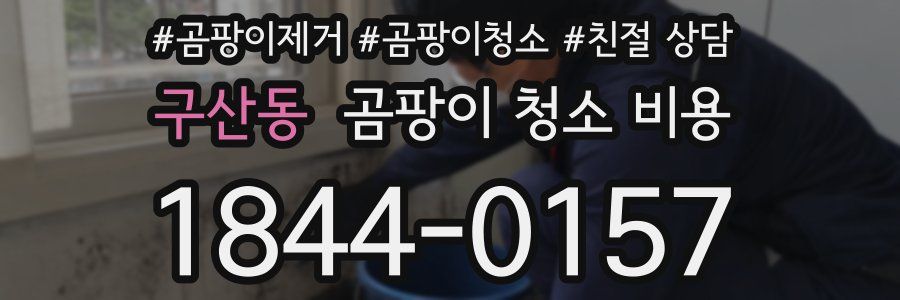 구산동 곰팡이 청소 비용