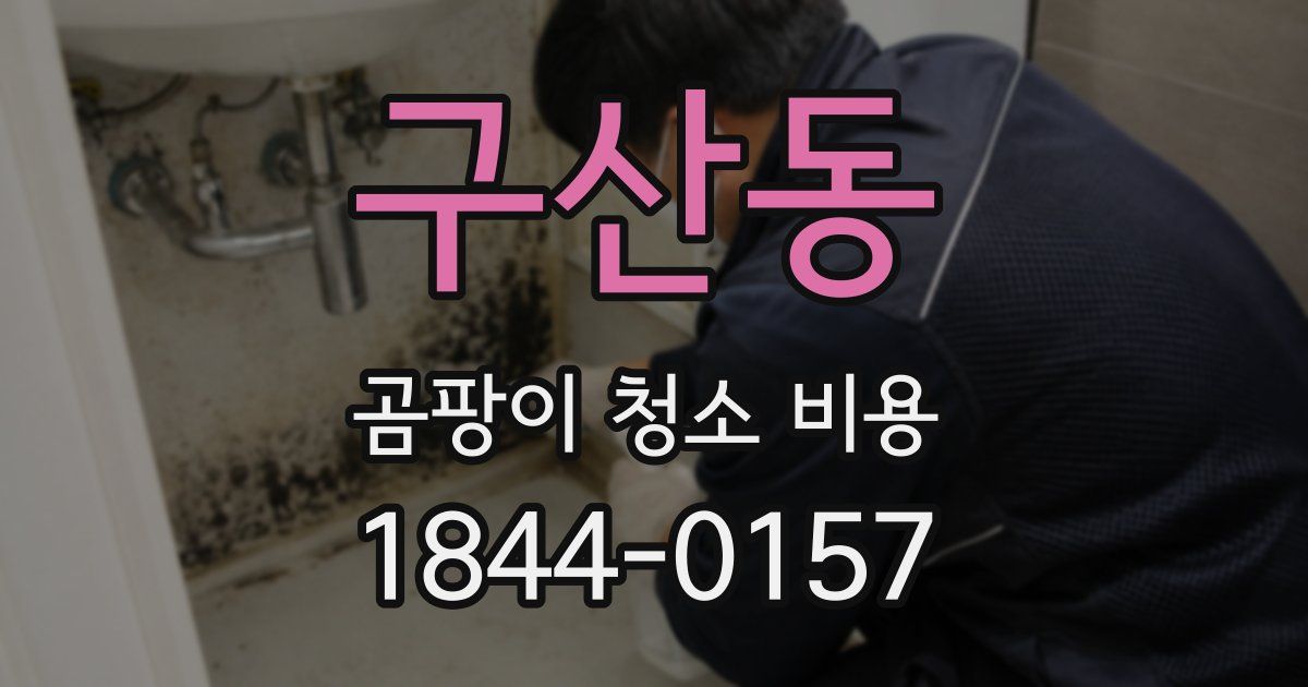 구산동 곰팡이 청소 비용