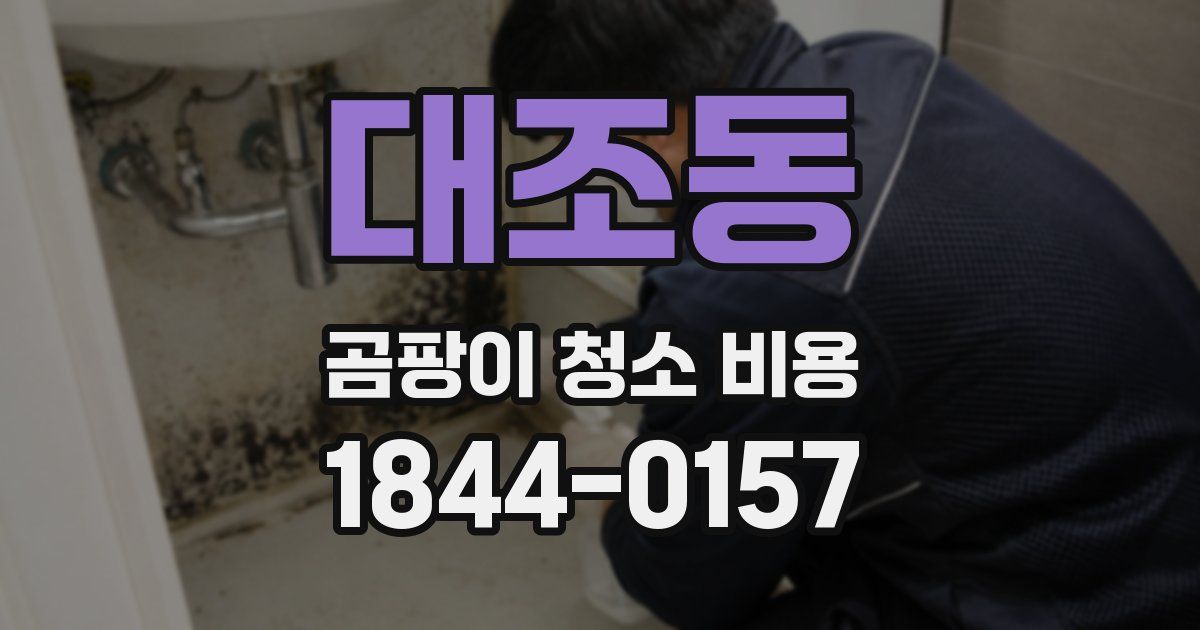 대조동 곰팡이 청소 비용