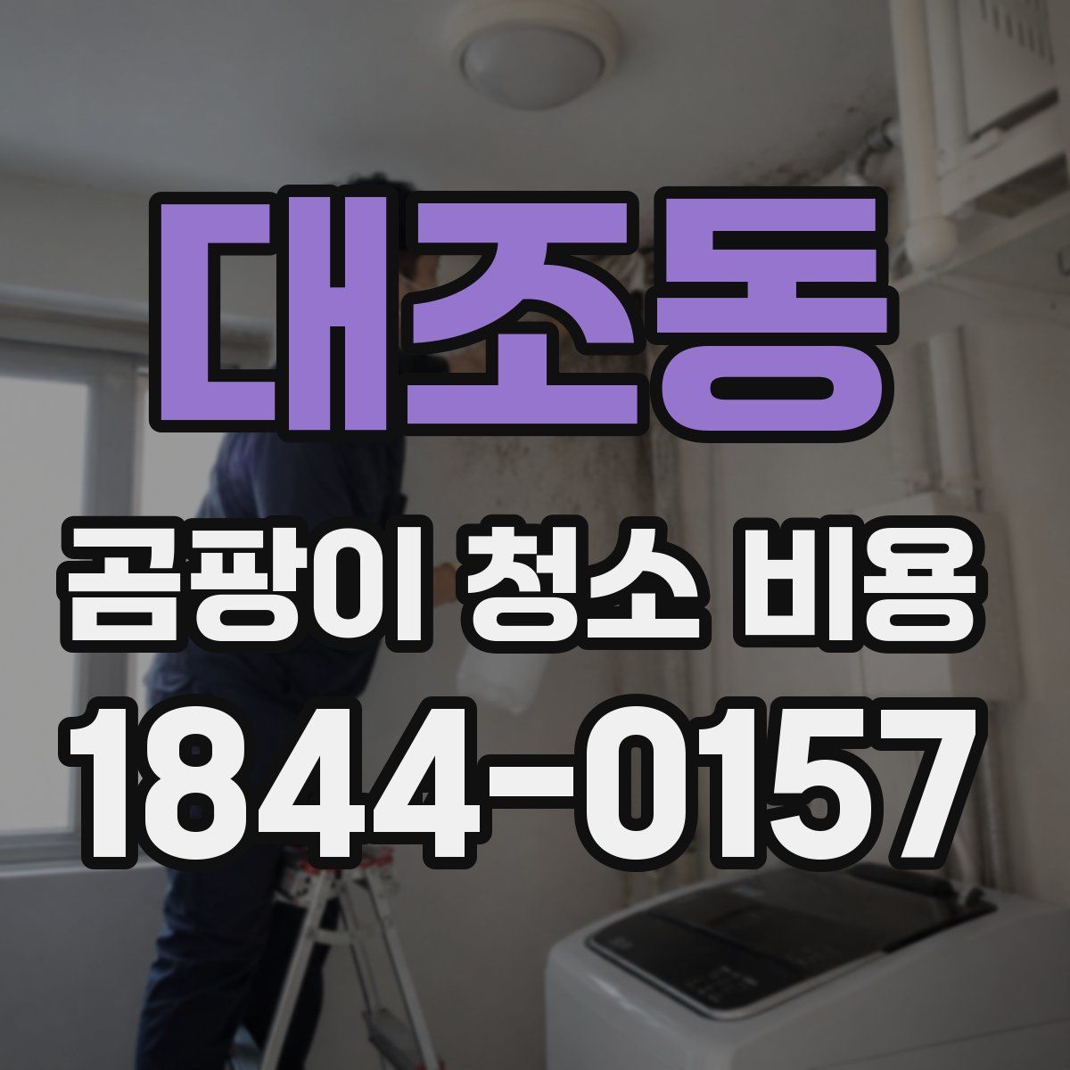 대조동 곰팡이 청소 비용