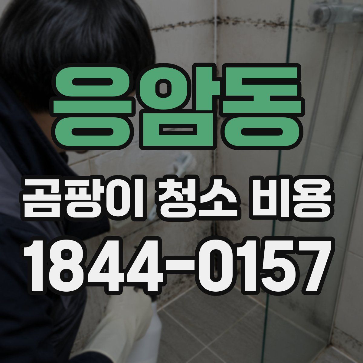 응암동 곰팡이 청소 비용
