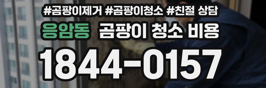 응암동 곰팡이 청소 비용
