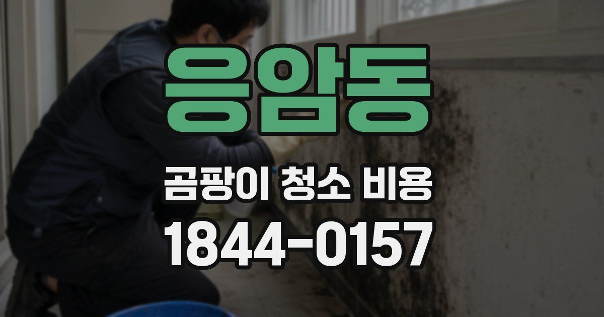 응암동 곰팡이 청소 비용