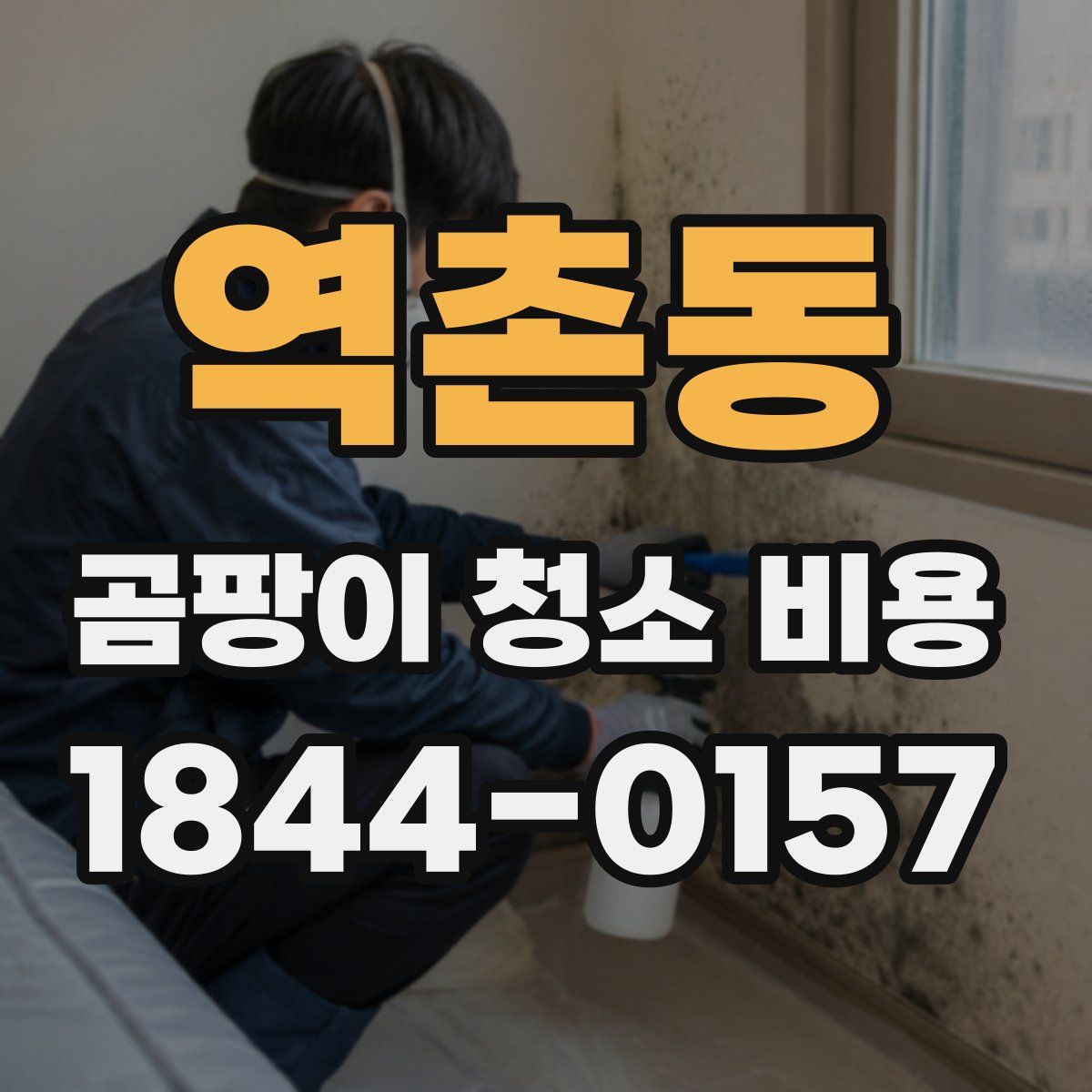 역촌동 곰팡이 청소 비용