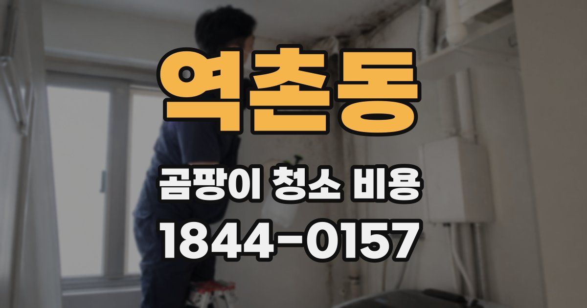 역촌동 곰팡이 청소 비용