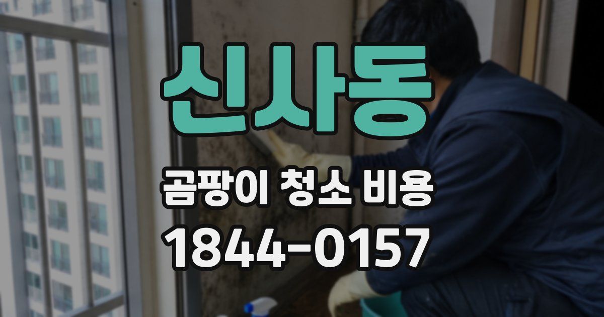 신사동 곰팡이 청소 비용