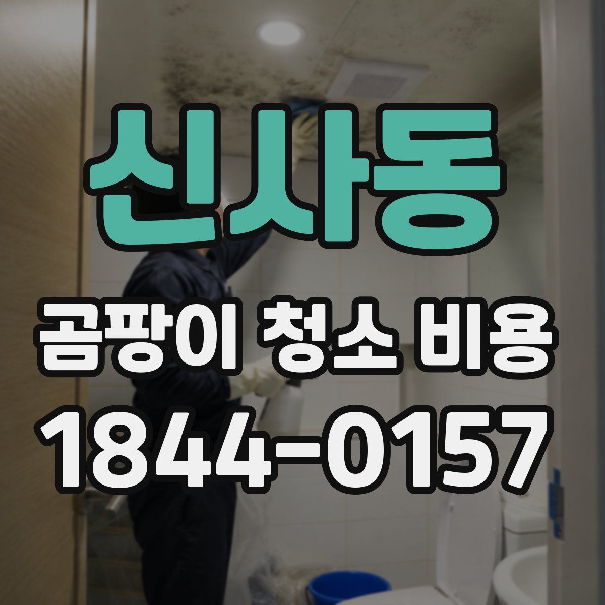 신사동 곰팡이 청소 비용