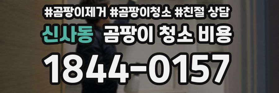신사동 곰팡이 청소 비용