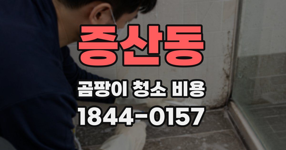 증산동 곰팡이 청소 비용