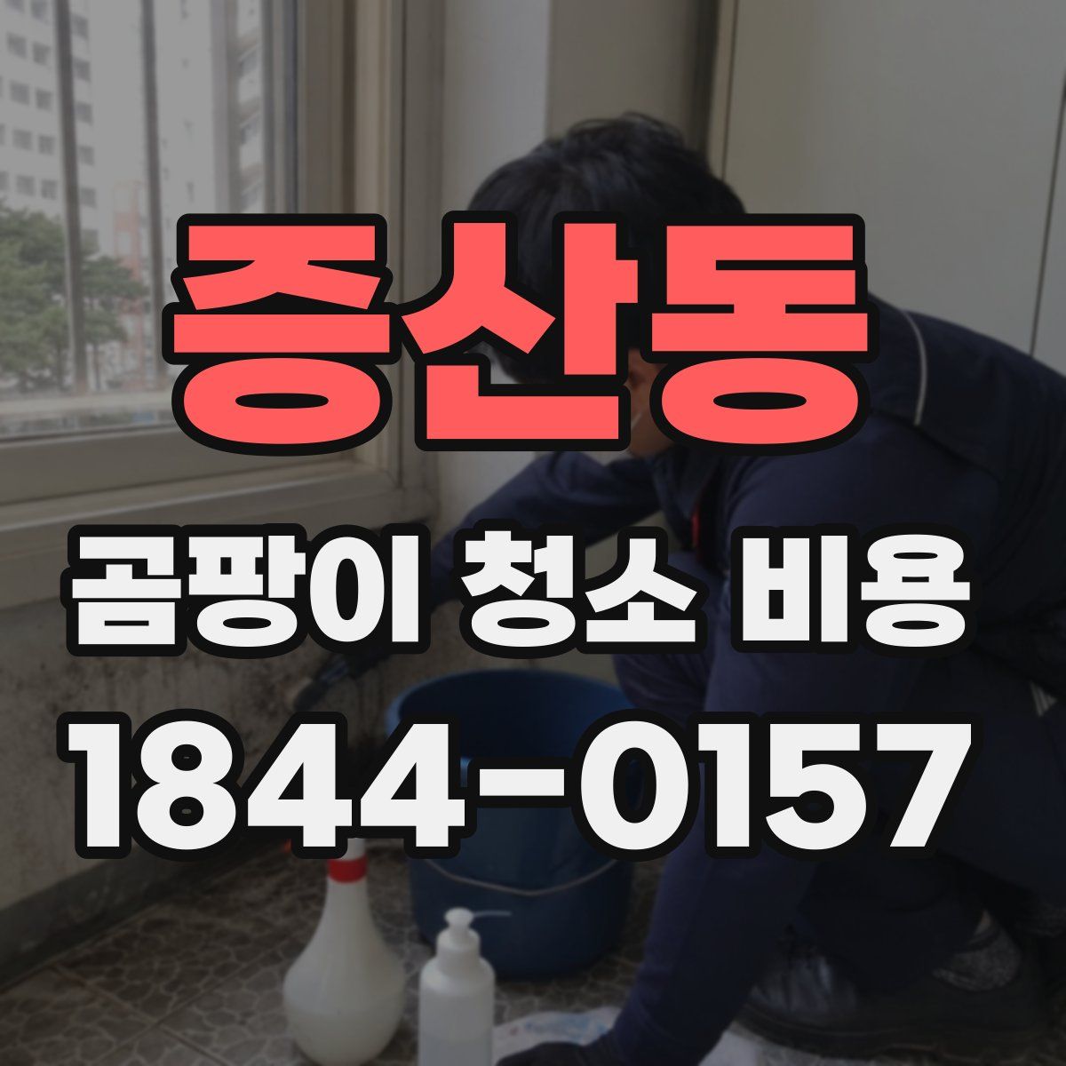 증산동 곰팡이 청소 비용