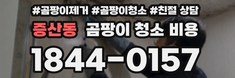 증산동 곰팡이 청소 비용