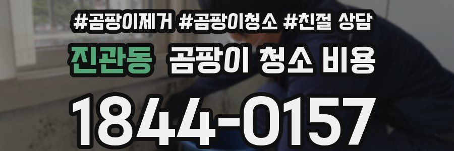진관동 곰팡이 청소 비용
