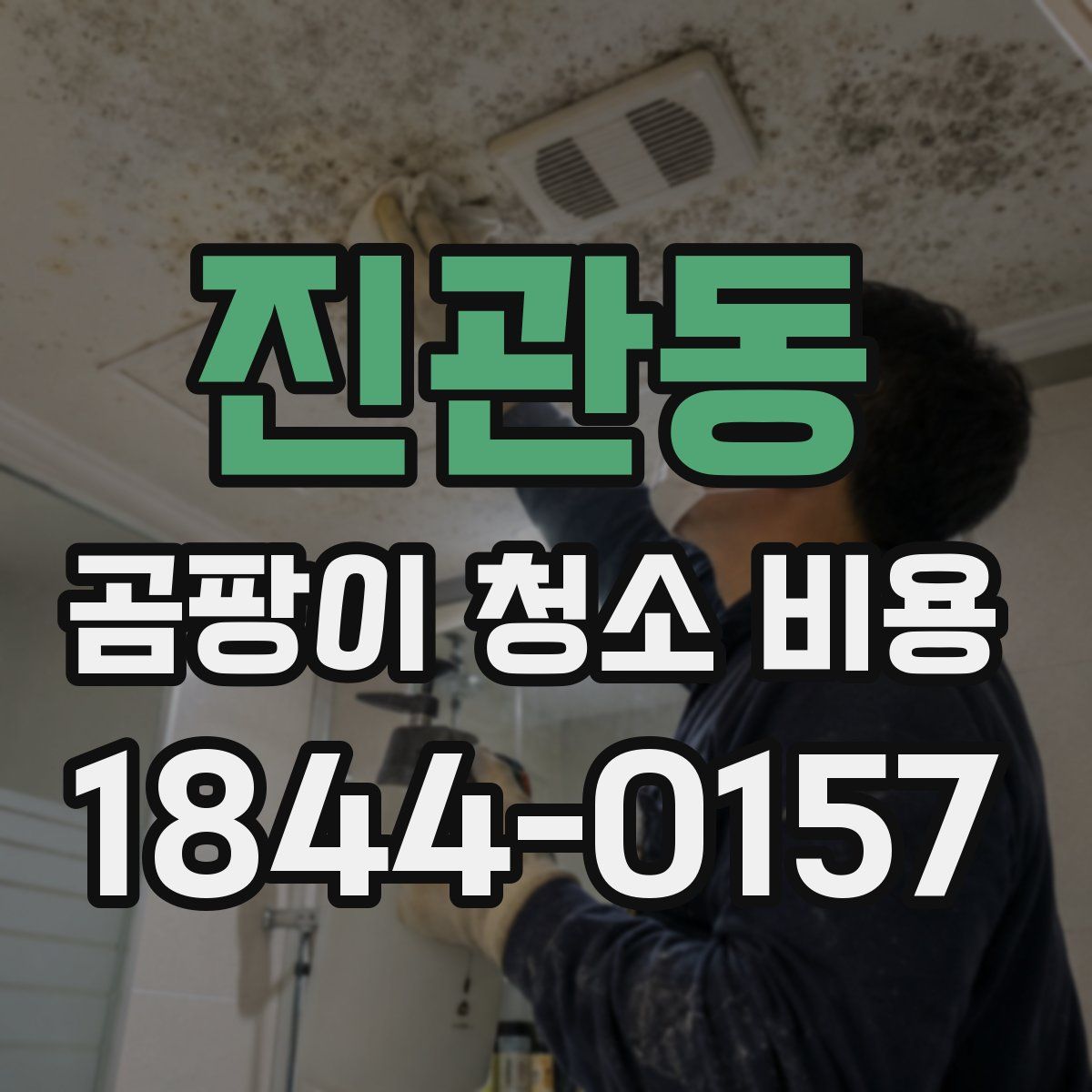 진관동 곰팡이 청소 비용