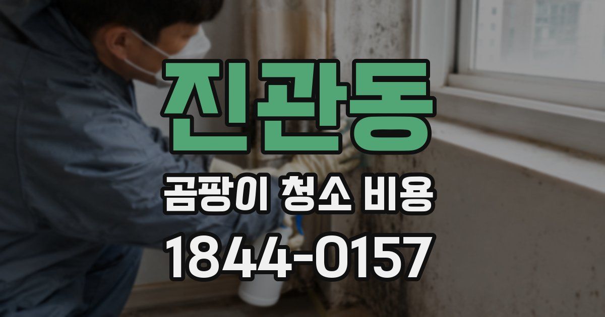 진관동 곰팡이 청소 비용