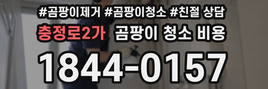 충정로2가 곰팡이 청소 비용