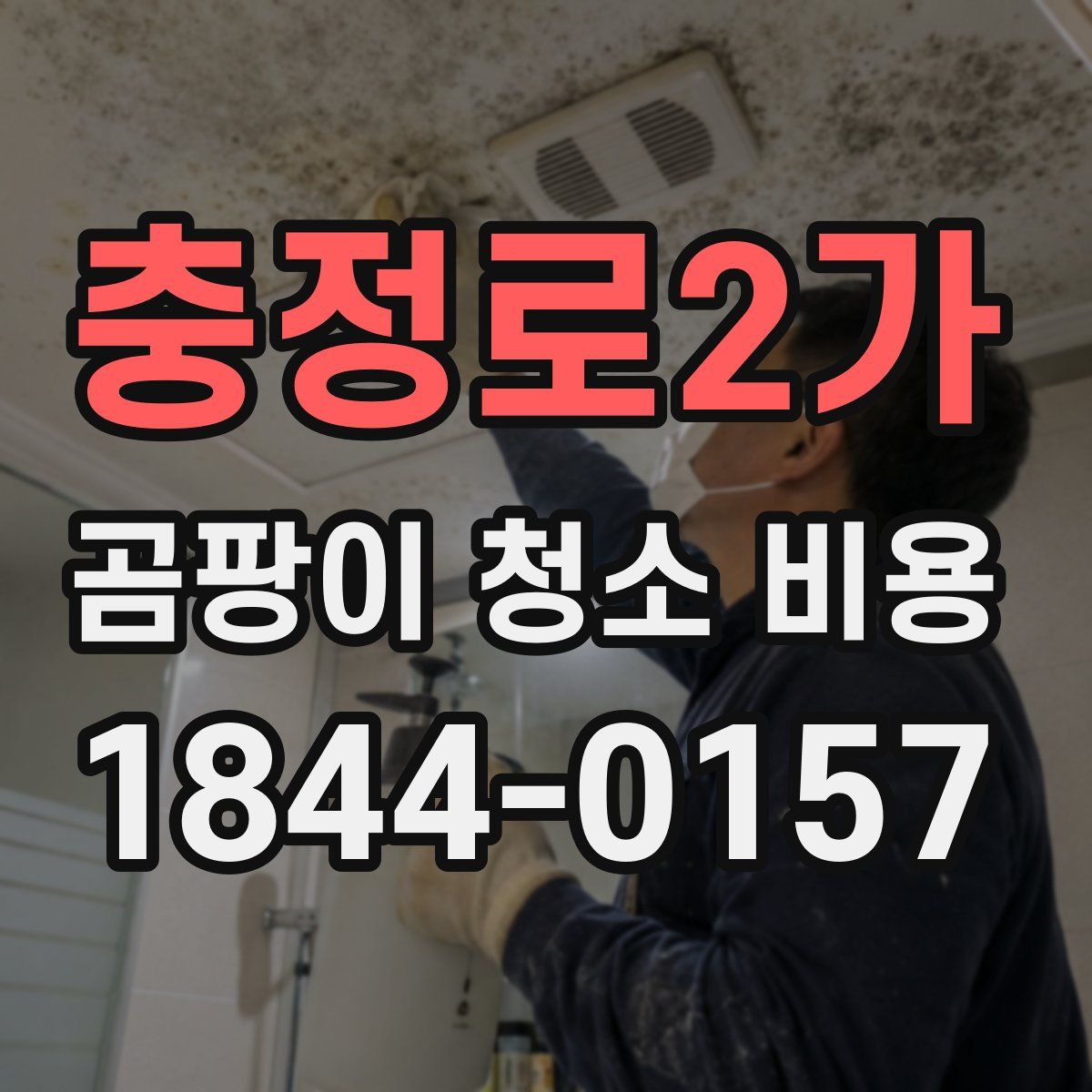 충정로2가 곰팡이 청소 비용