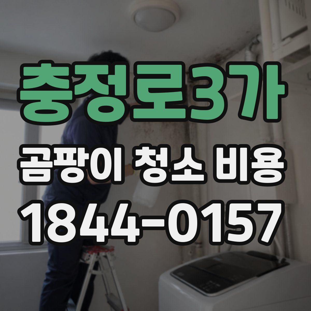 충정로3가 곰팡이 청소 비용