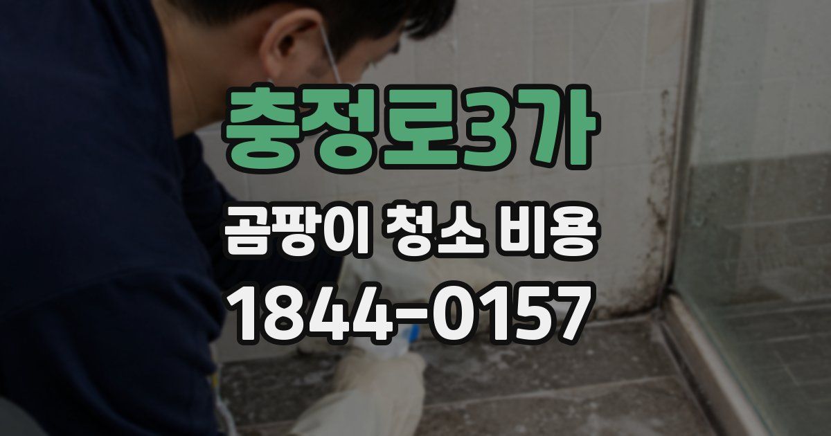 충정로3가 곰팡이 청소 비용