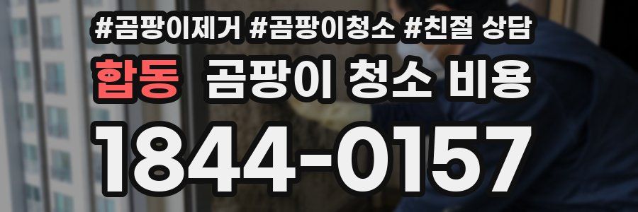 합동 곰팡이 청소 비용