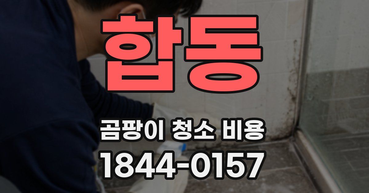 합동 곰팡이 청소 비용