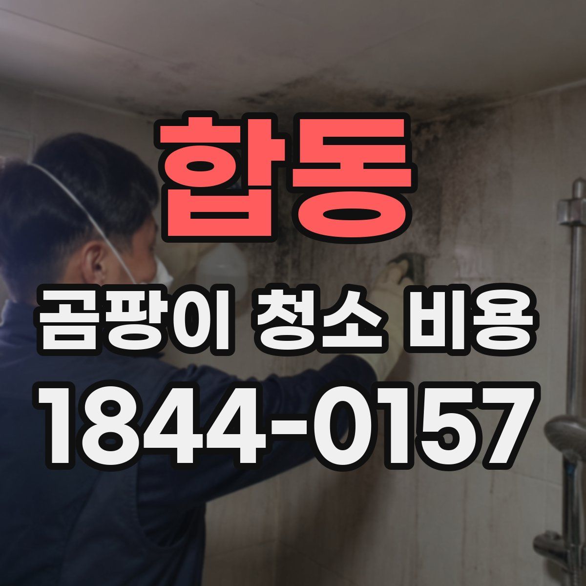 합동 곰팡이 청소 비용