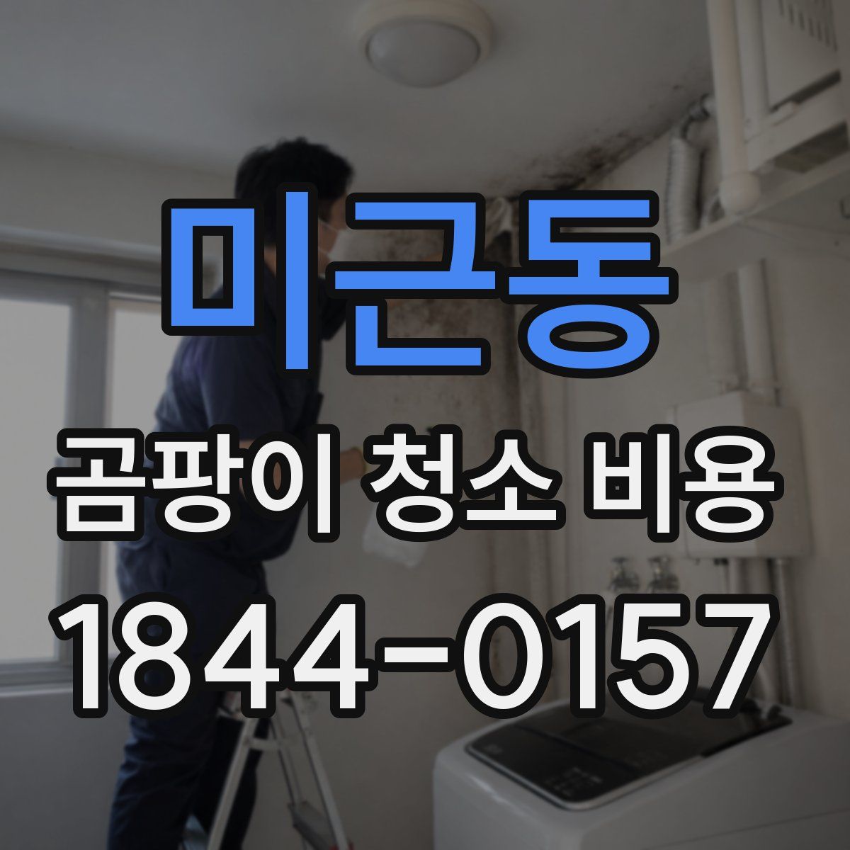 미근동 곰팡이 청소 비용