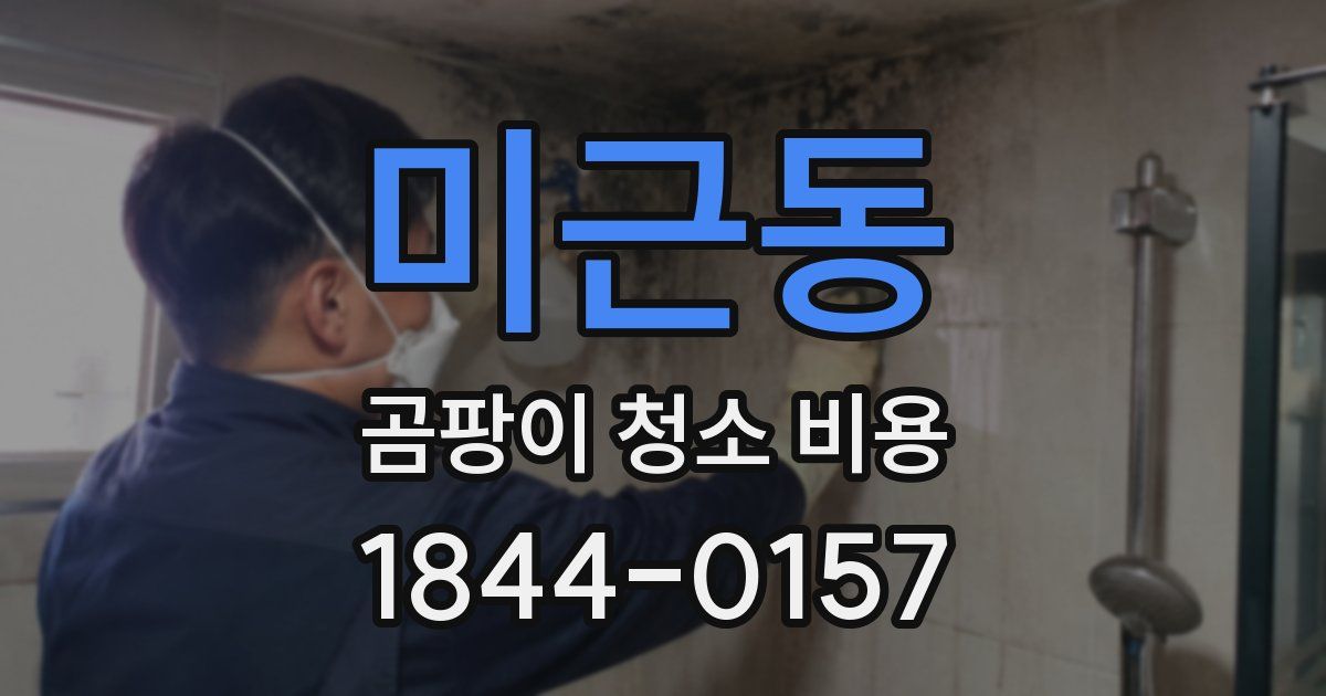 미근동 곰팡이 청소 비용