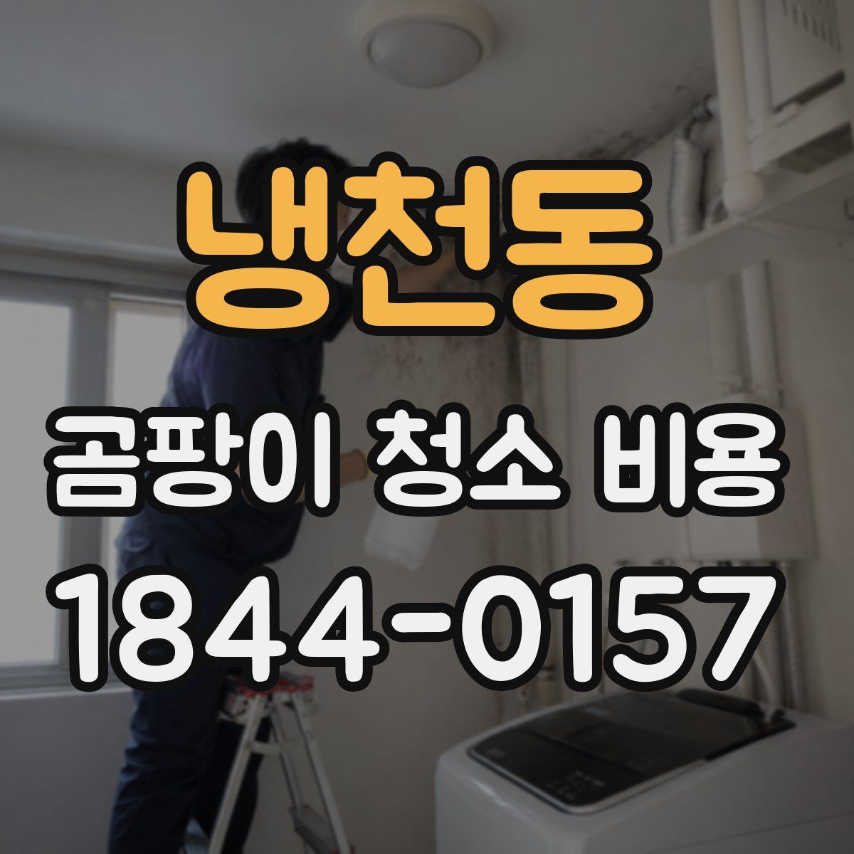 냉천동 곰팡이 청소 비용