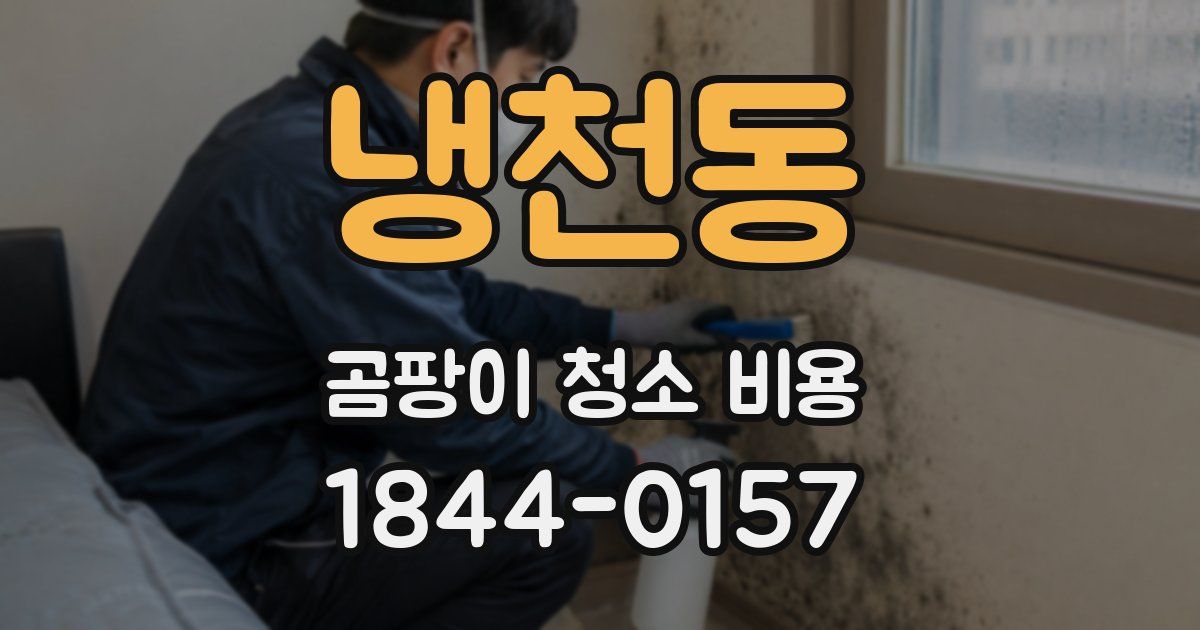 냉천동 곰팡이 청소 비용