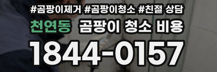 천연동 곰팡이 청소 비용