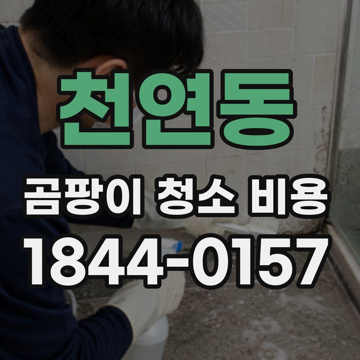 천연동 곰팡이 청소 비용