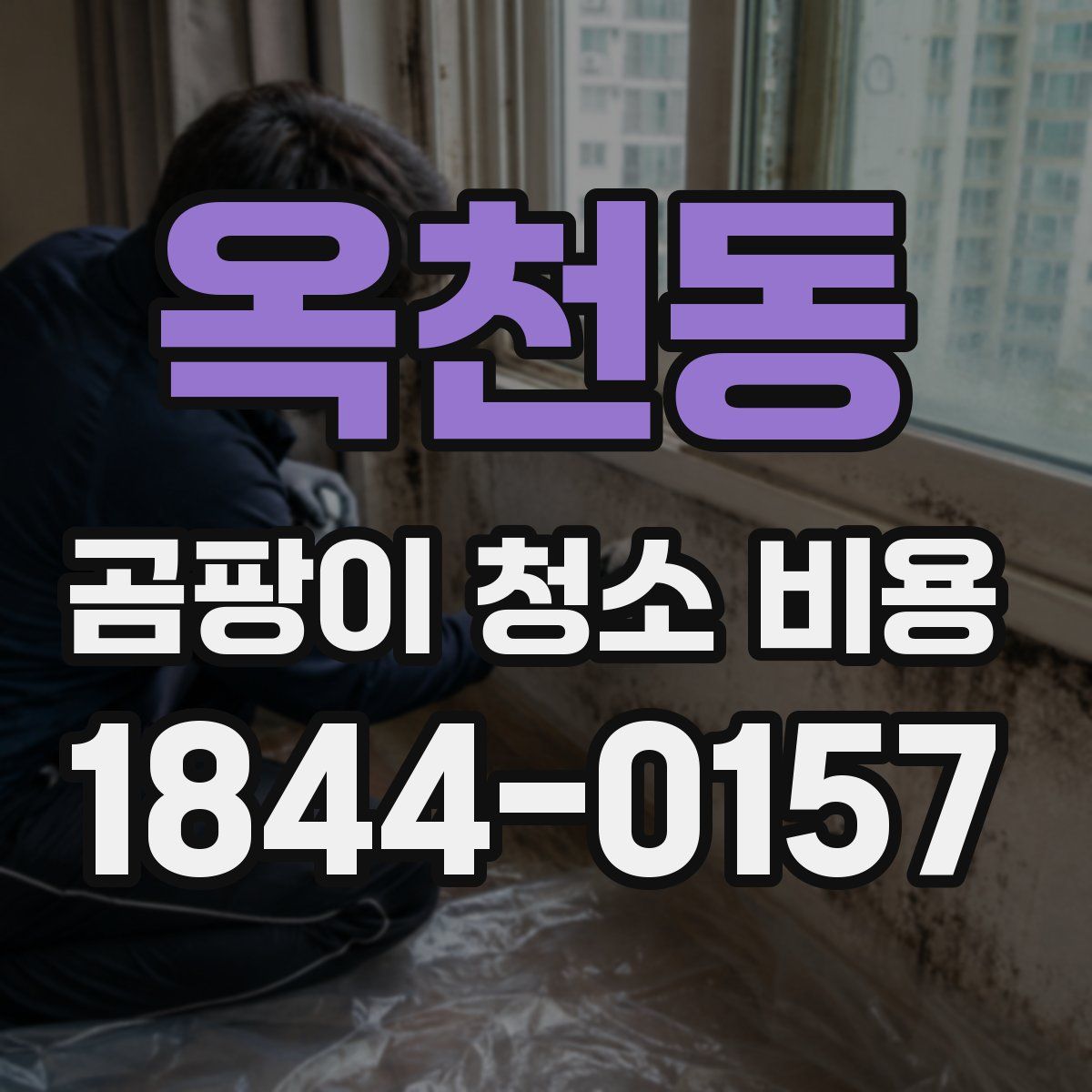 옥천동 곰팡이 청소 비용