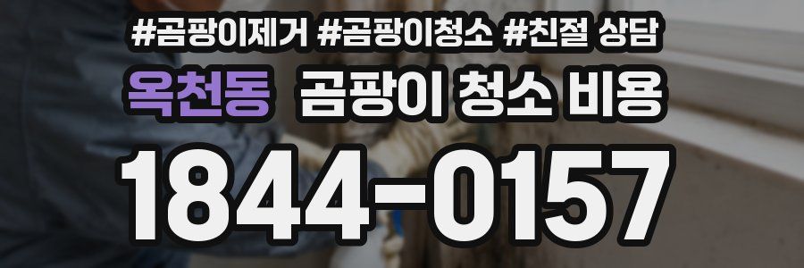 옥천동 곰팡이 청소 비용