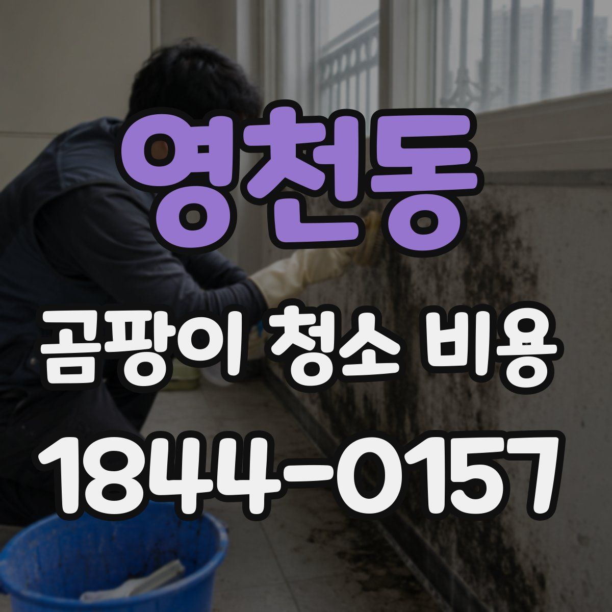 영천동 곰팡이 청소 비용