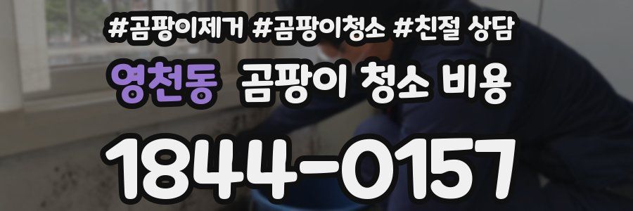 영천동 곰팡이 청소 비용