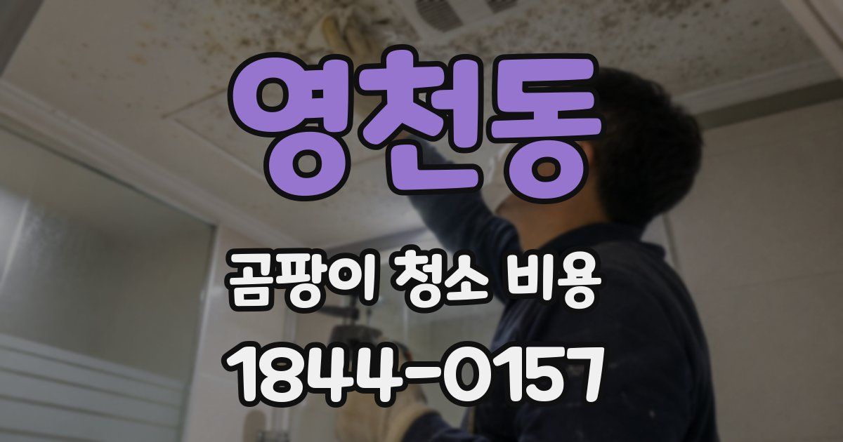 영천동 곰팡이 청소 비용