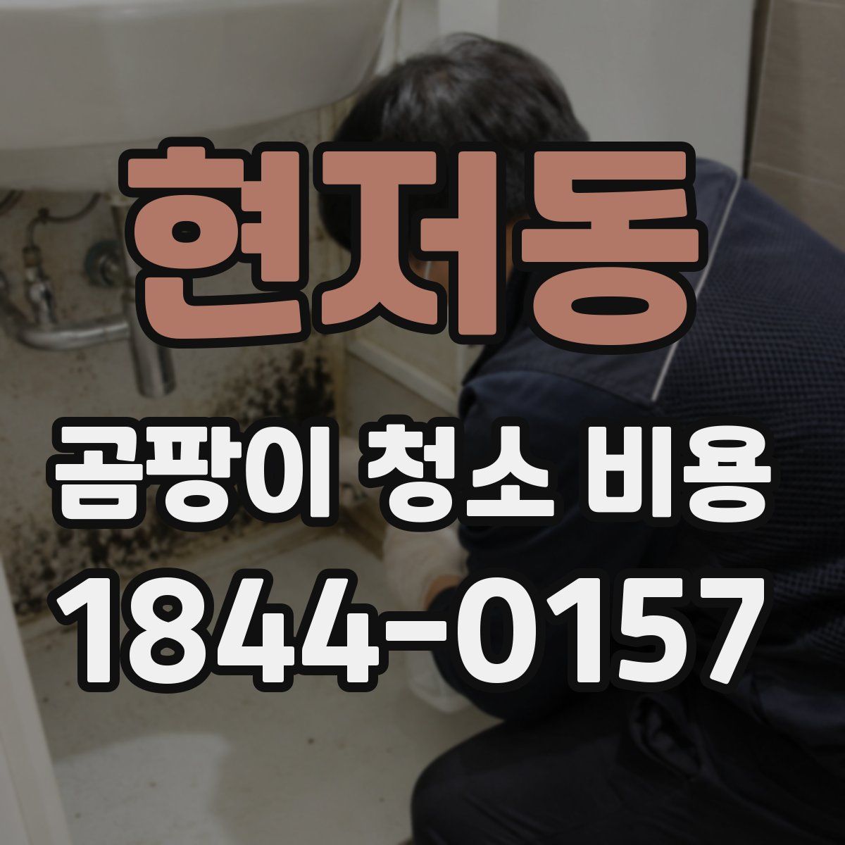 현저동 곰팡이 청소 비용
