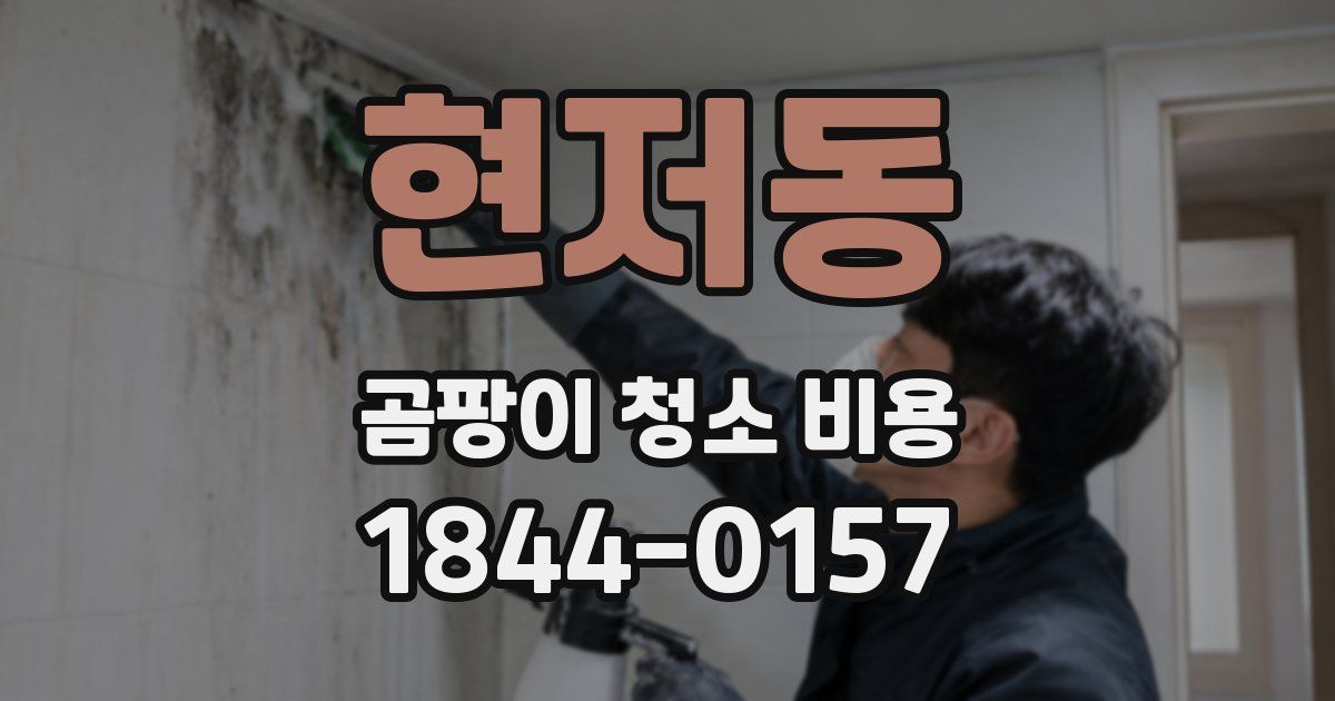 현저동 곰팡이 청소 비용