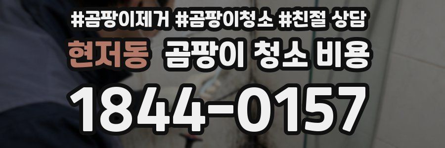 현저동 곰팡이 청소 비용