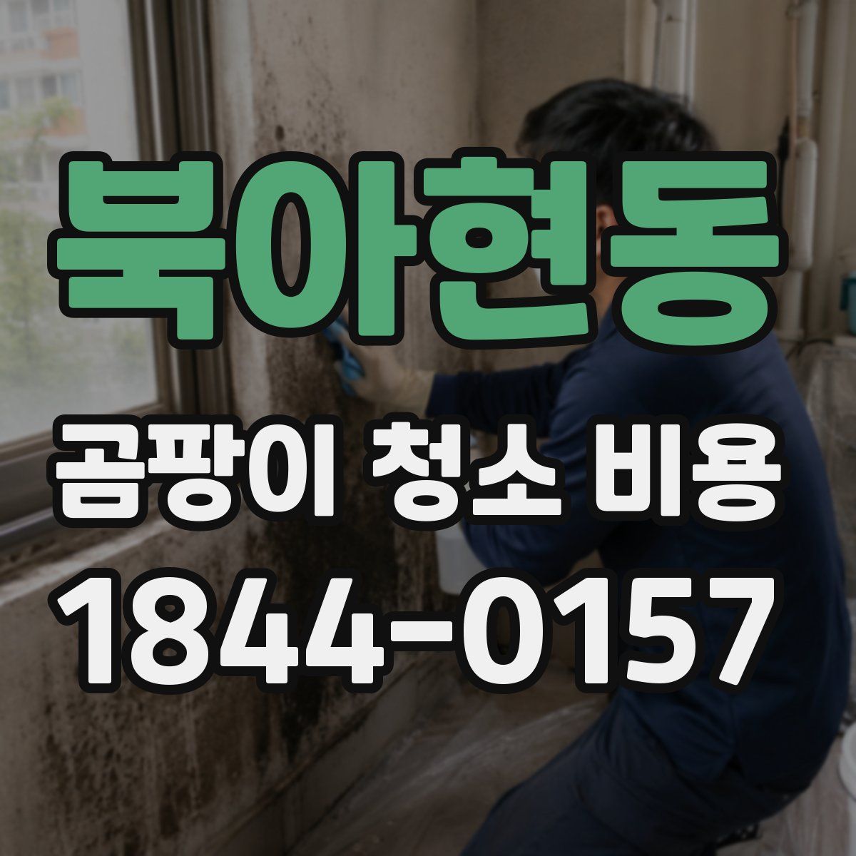 북아현동 곰팡이 청소 비용