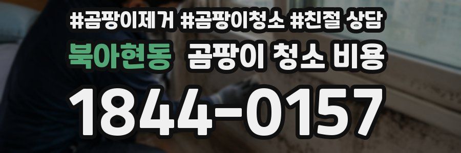 북아현동 곰팡이 청소 비용
